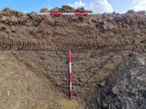 Section of Ringfort ditch