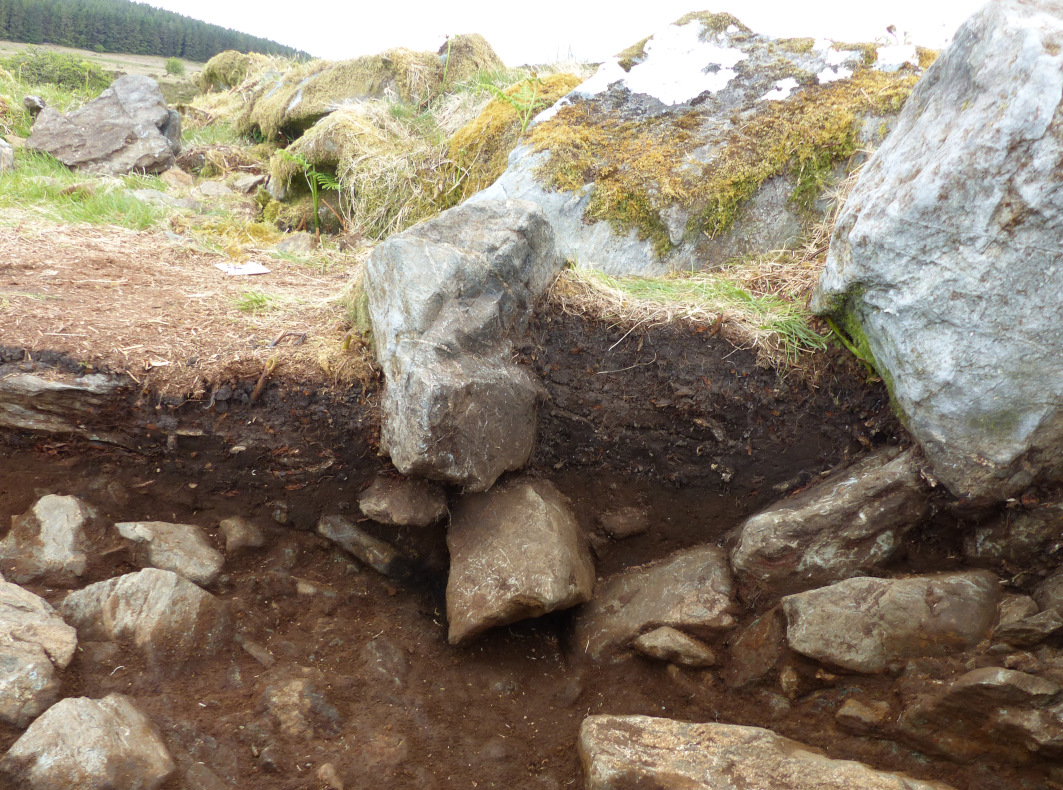 Photograph of the stratigraphy of Test Trench 6 at the inner edge of the kerb